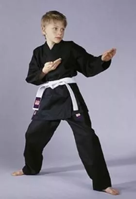 kimono viet vo dao danrho